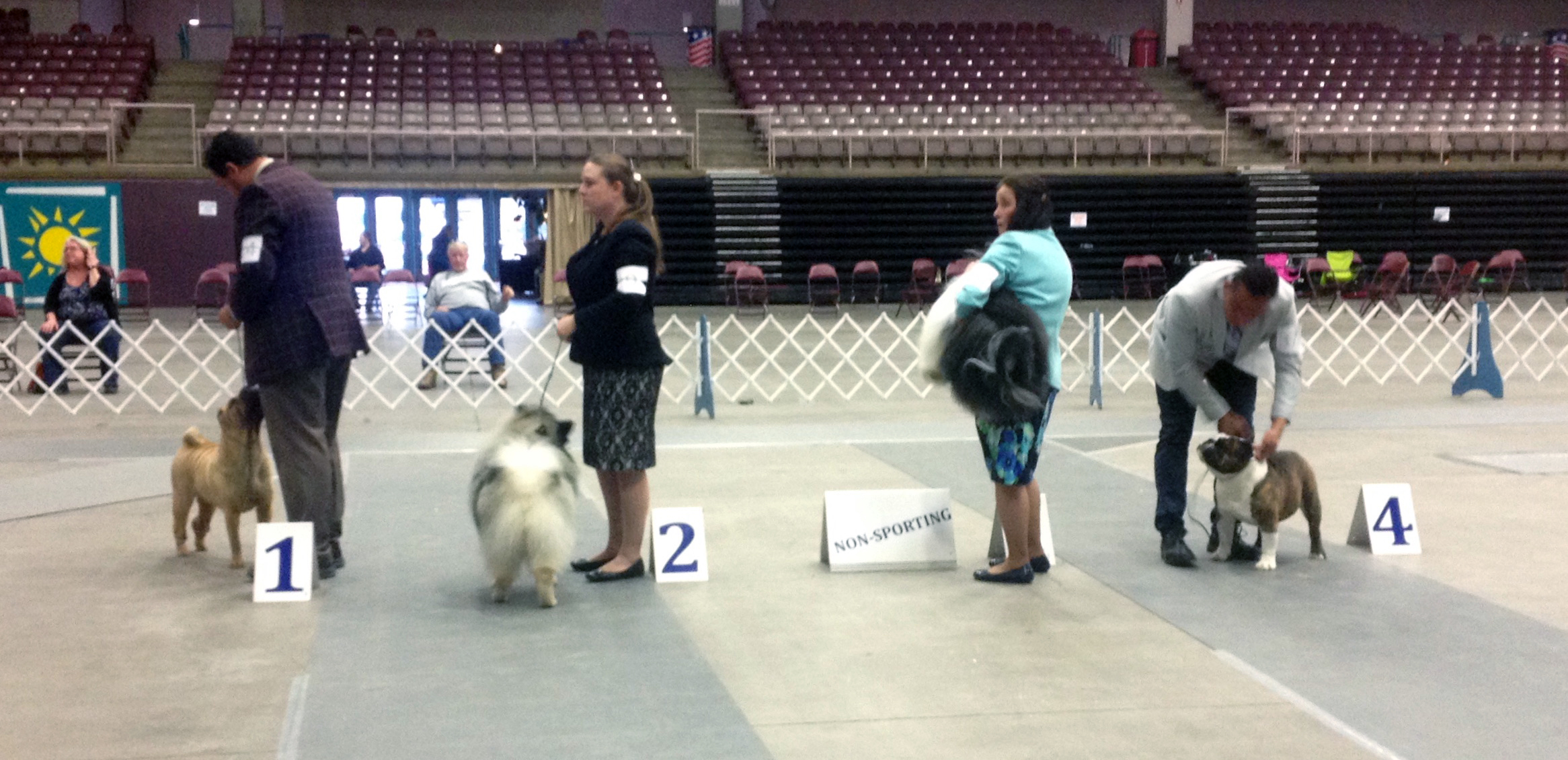 2017 Annual Show