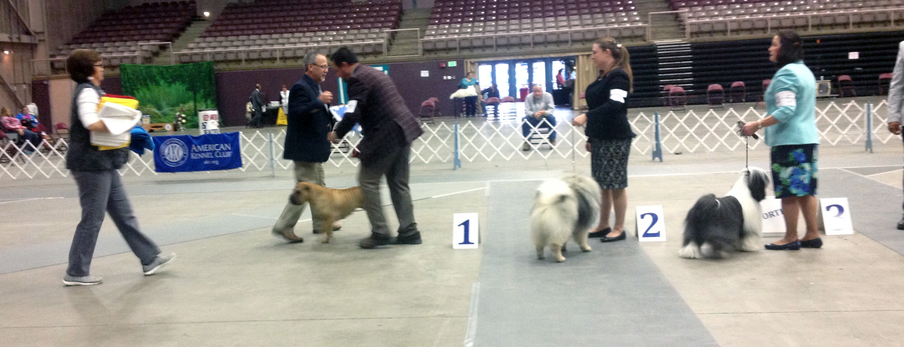 2017 Annual Show