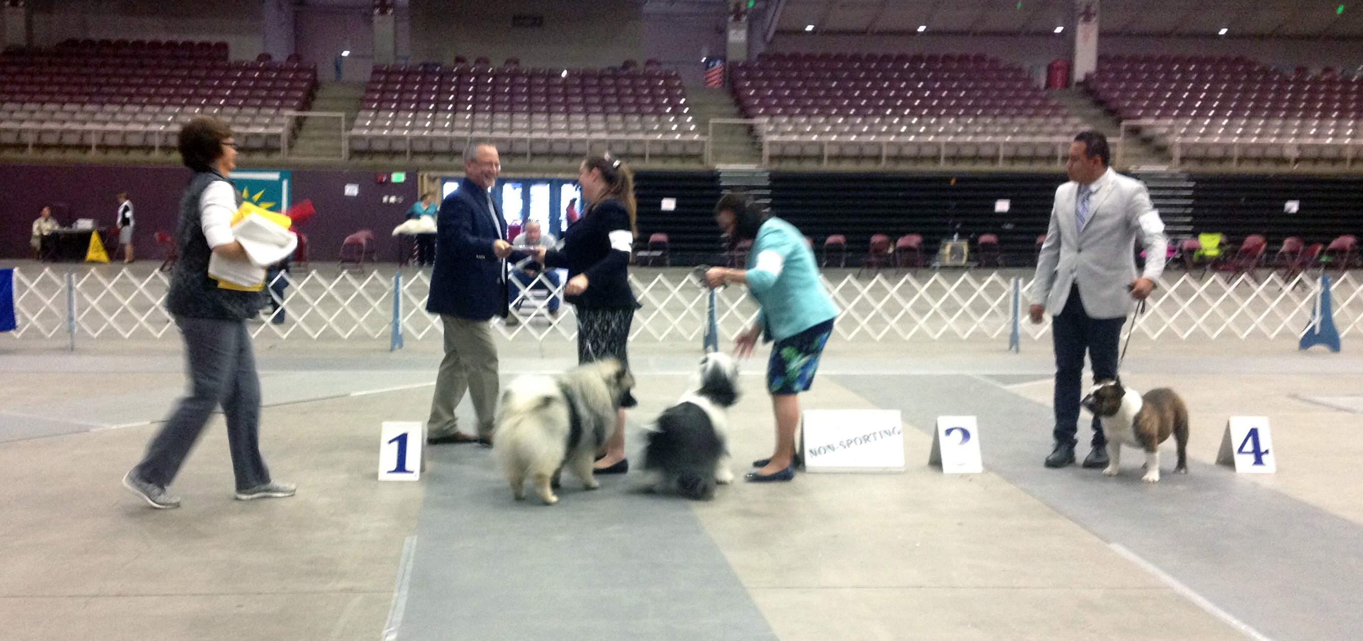 2017 Annual Show