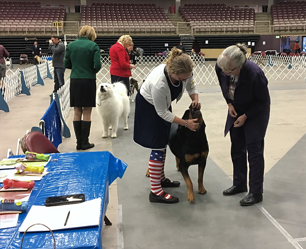 2018 Annual Show