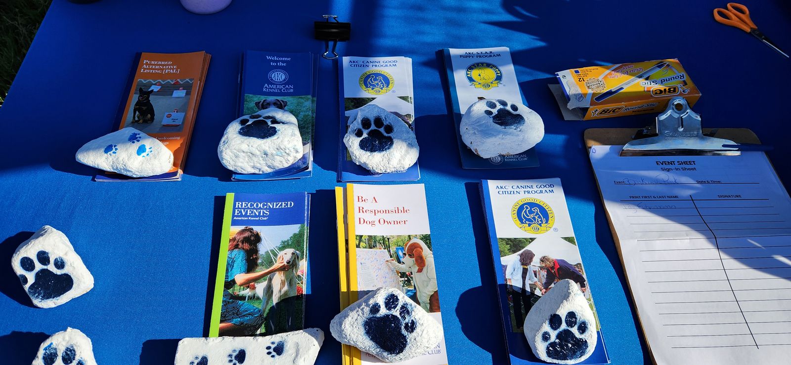 AKC brochures on the club table, including Be A Responsible Dog Owner and the Canine Good Citizen program, with painted paw-print rocks
