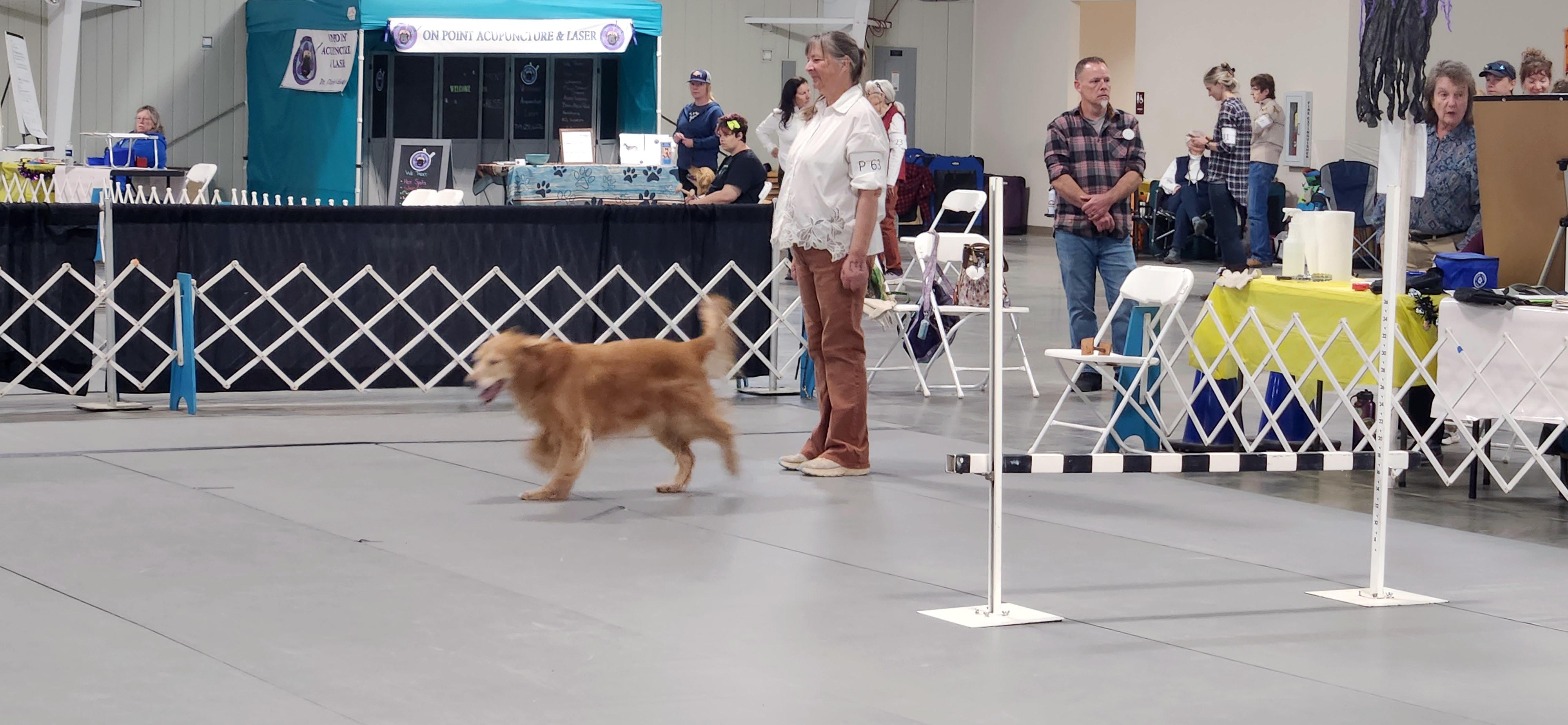 2025 Annual Show
