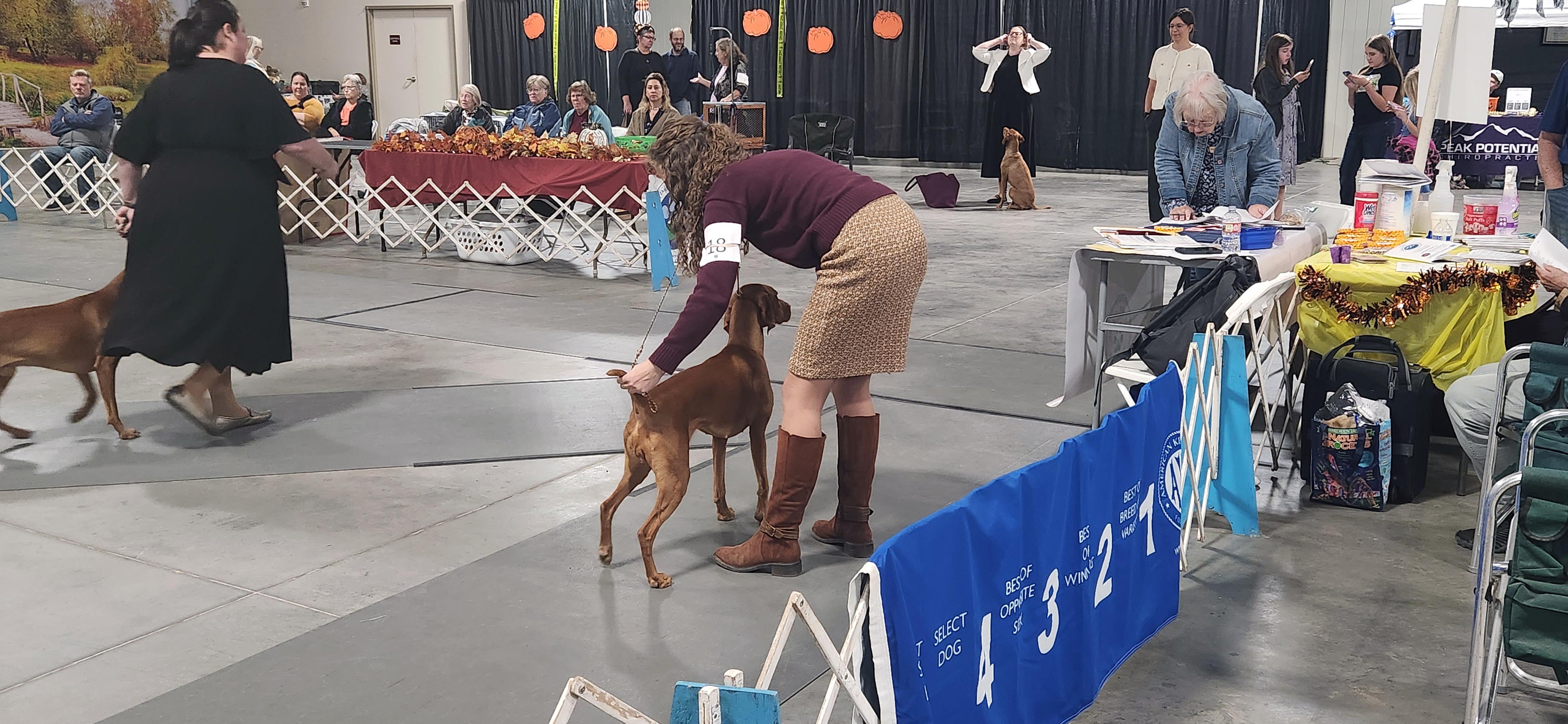 2025 Annual Show