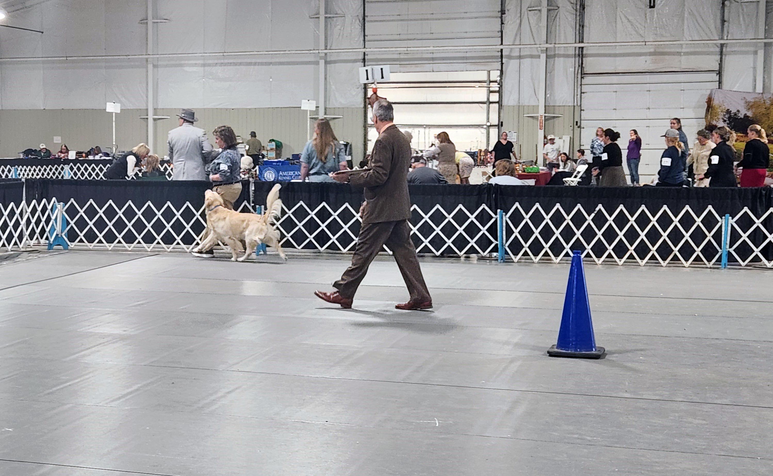 2025 Annual Show