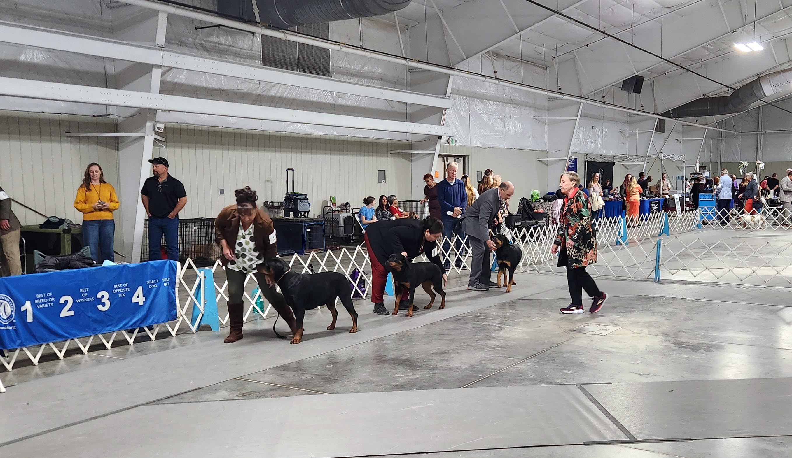 2025 Annual Show