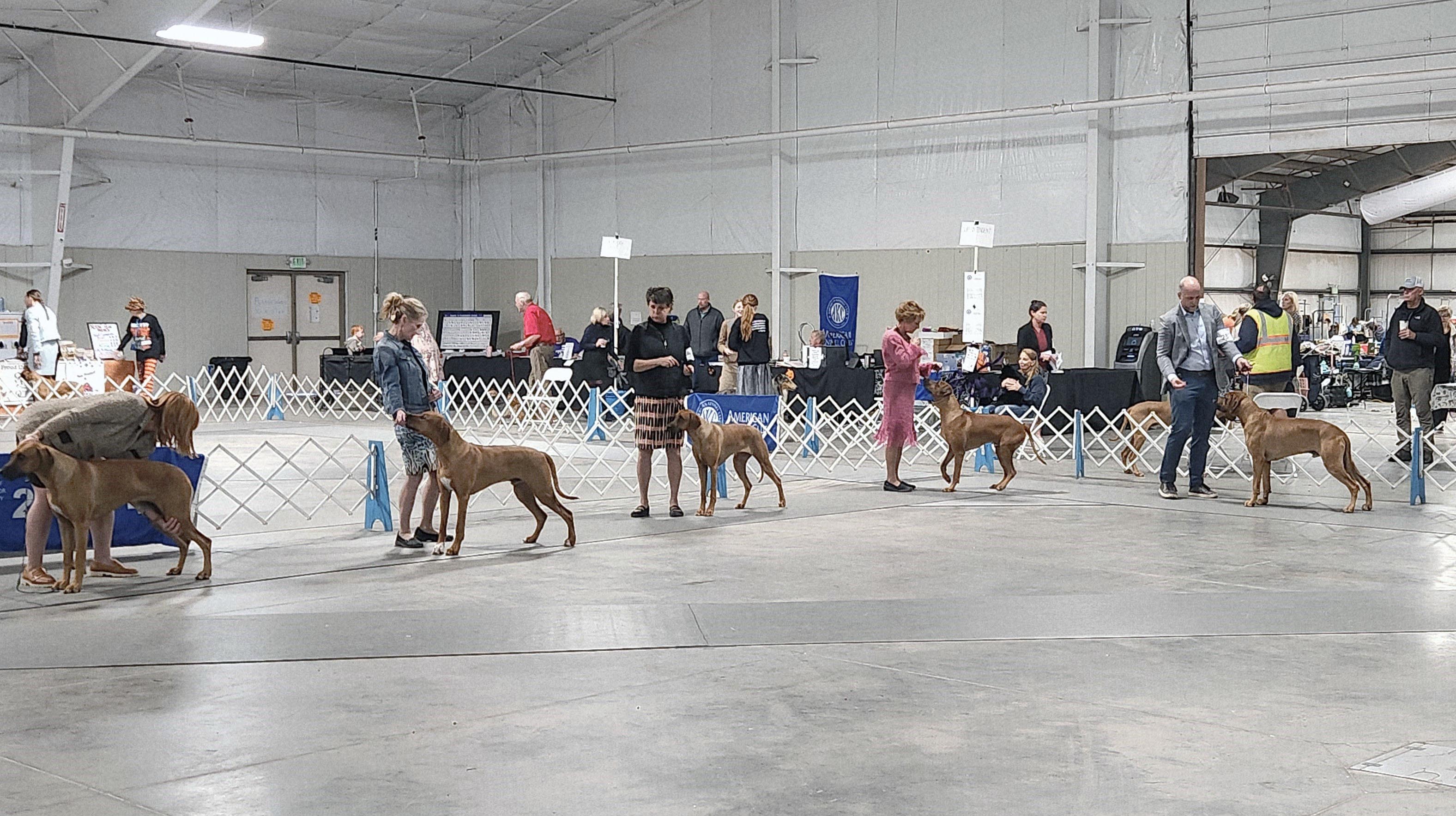 2025 Annual Show