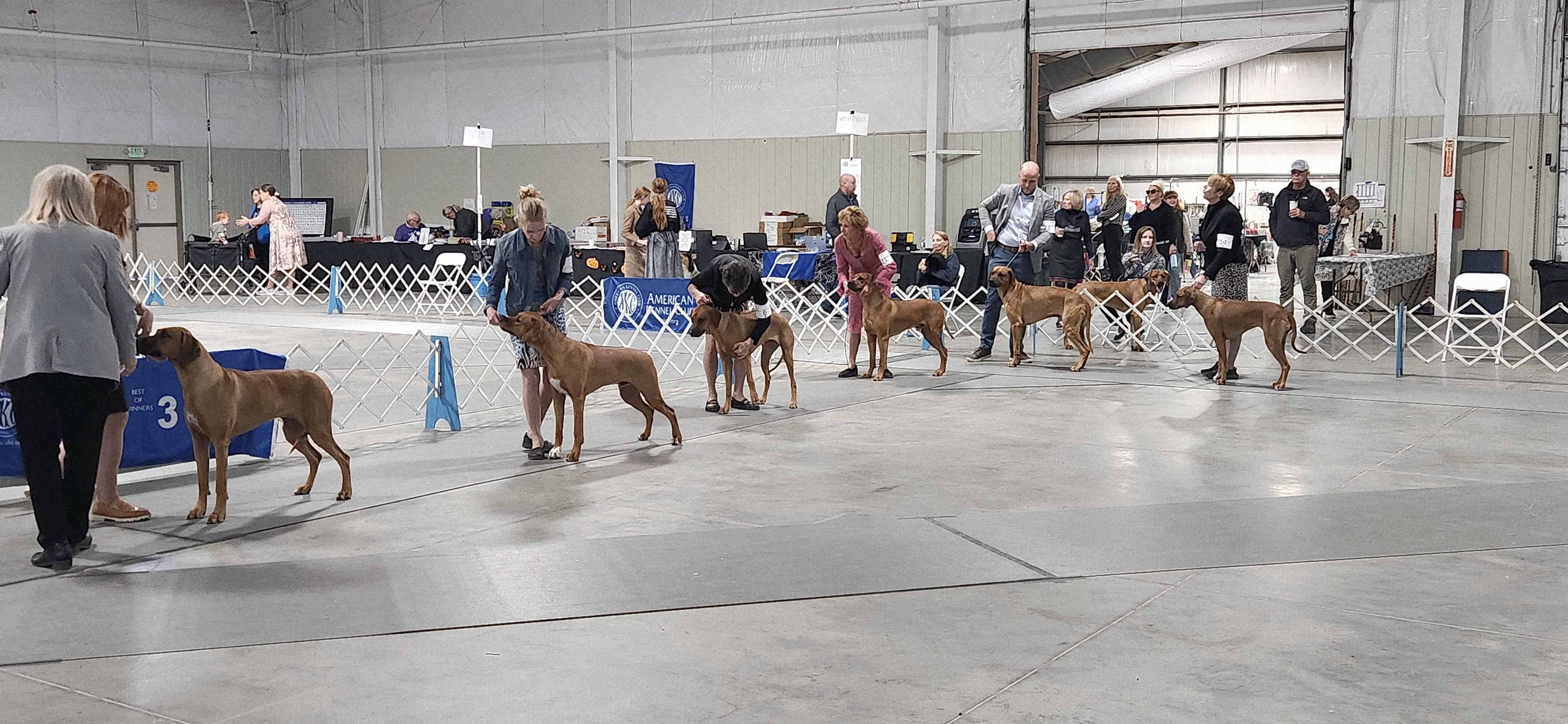 2025 Annual Show
