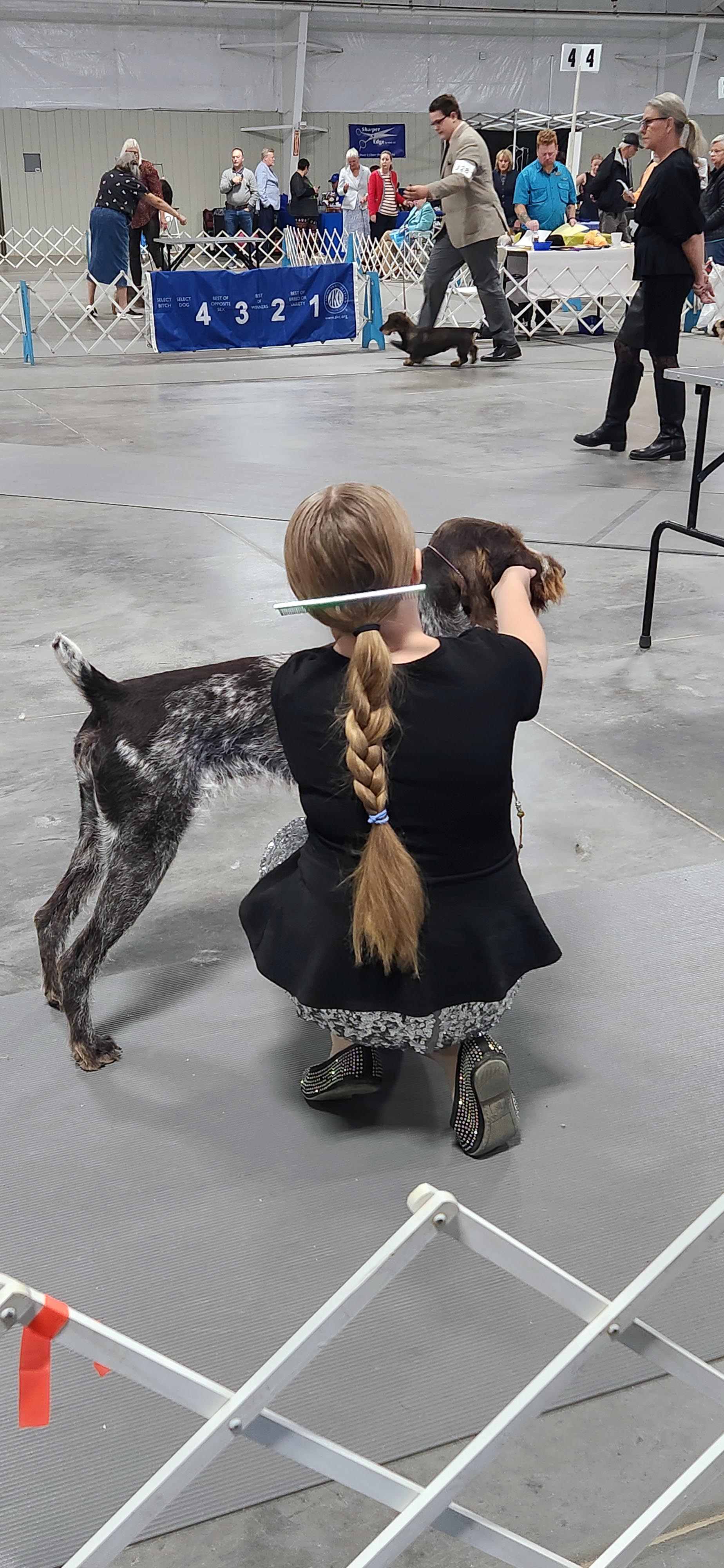 2025 Annual Show