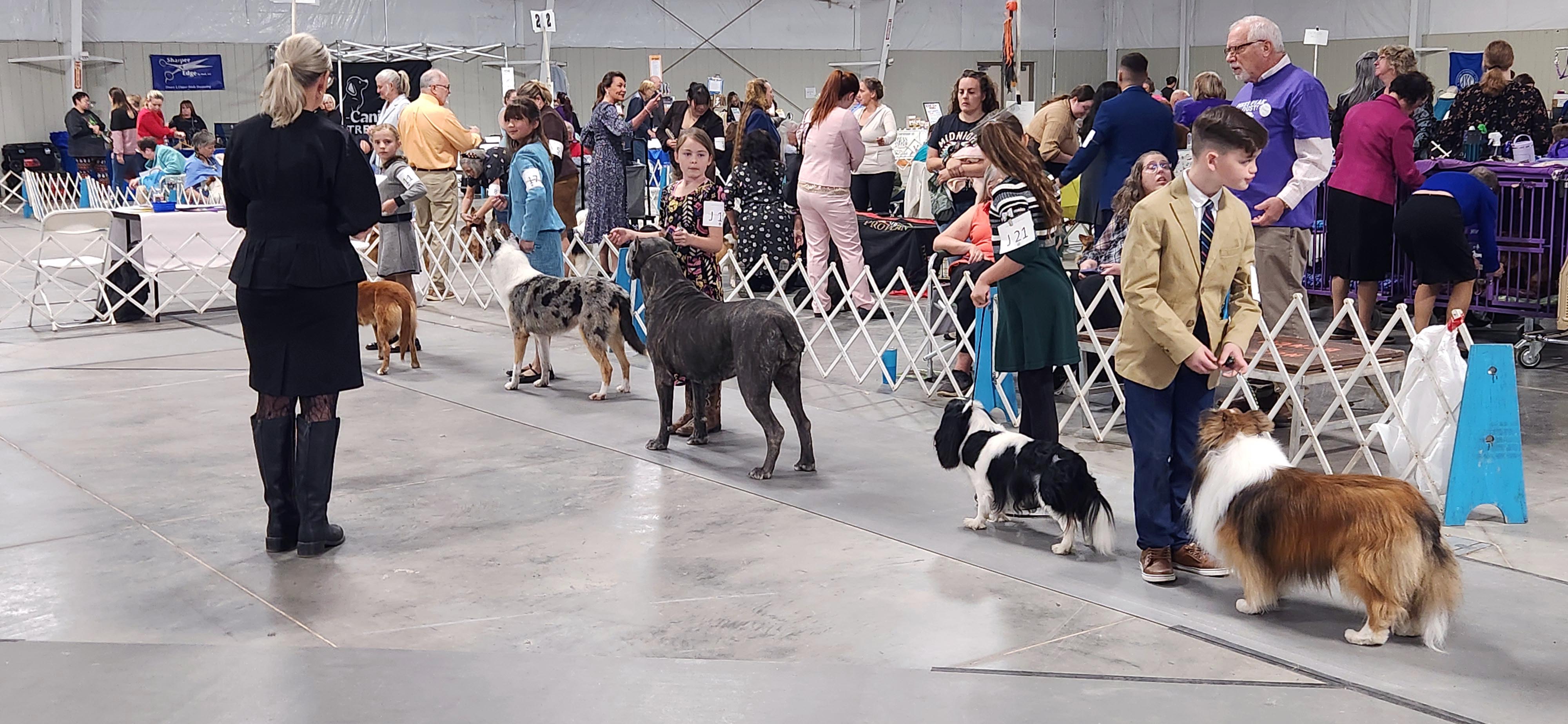 2025 Annual Show