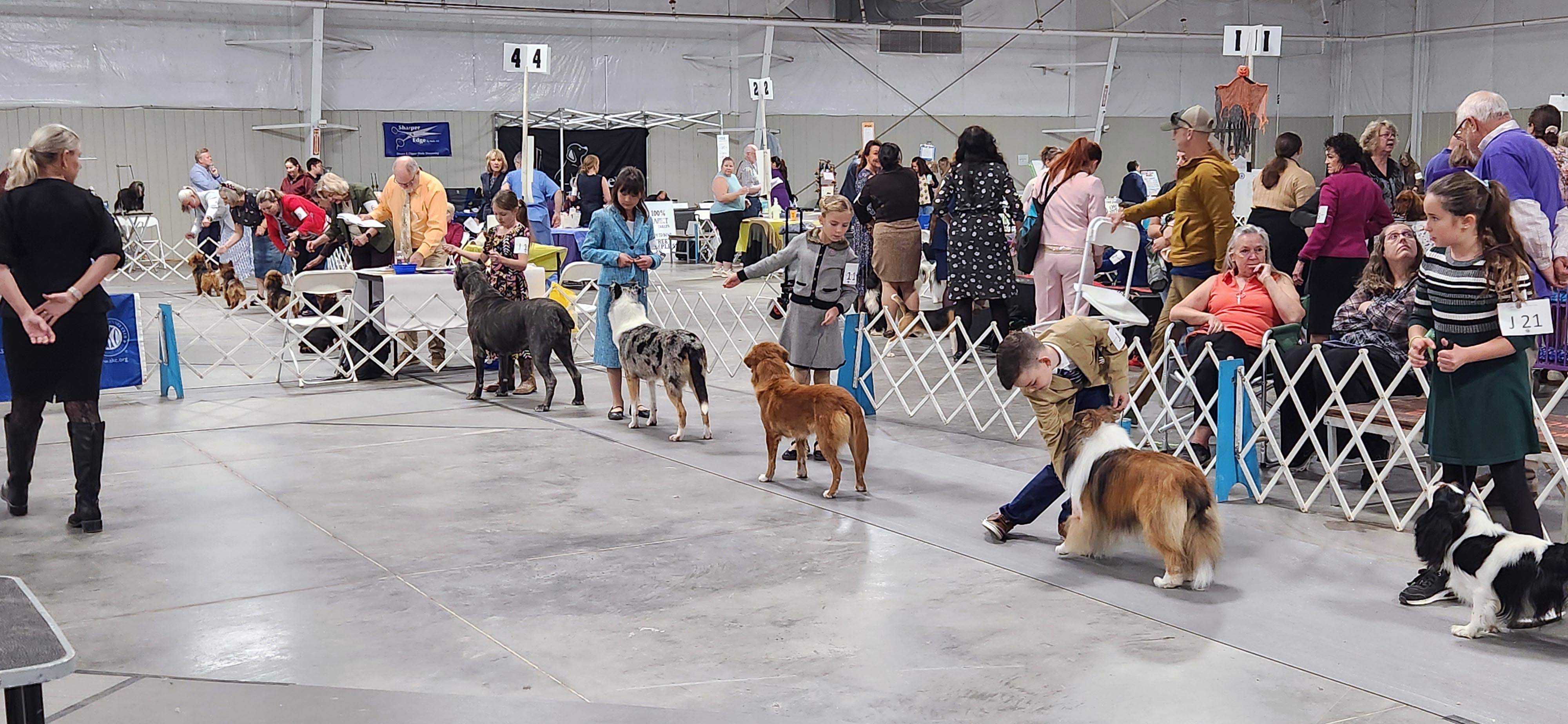 2025 Annual Show