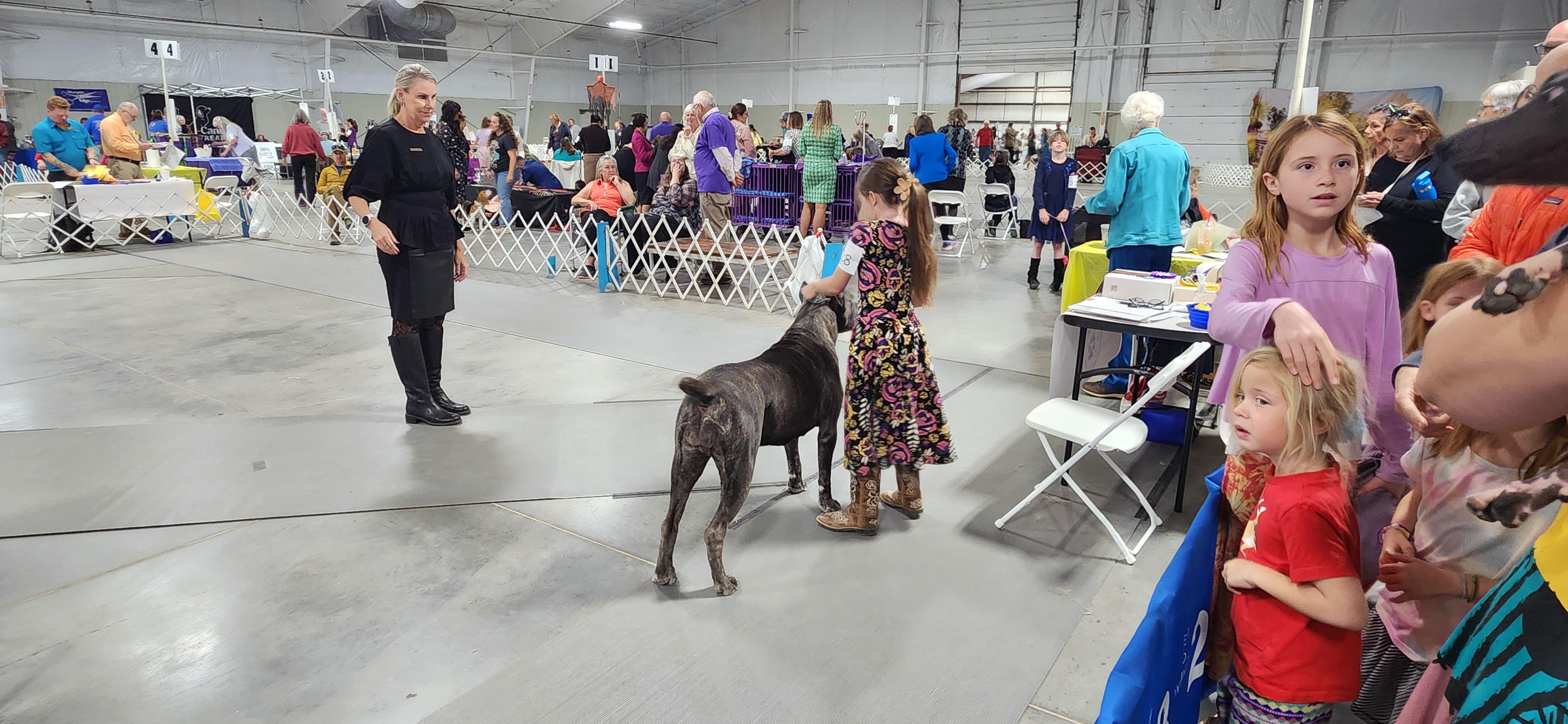 2025 Annual Show