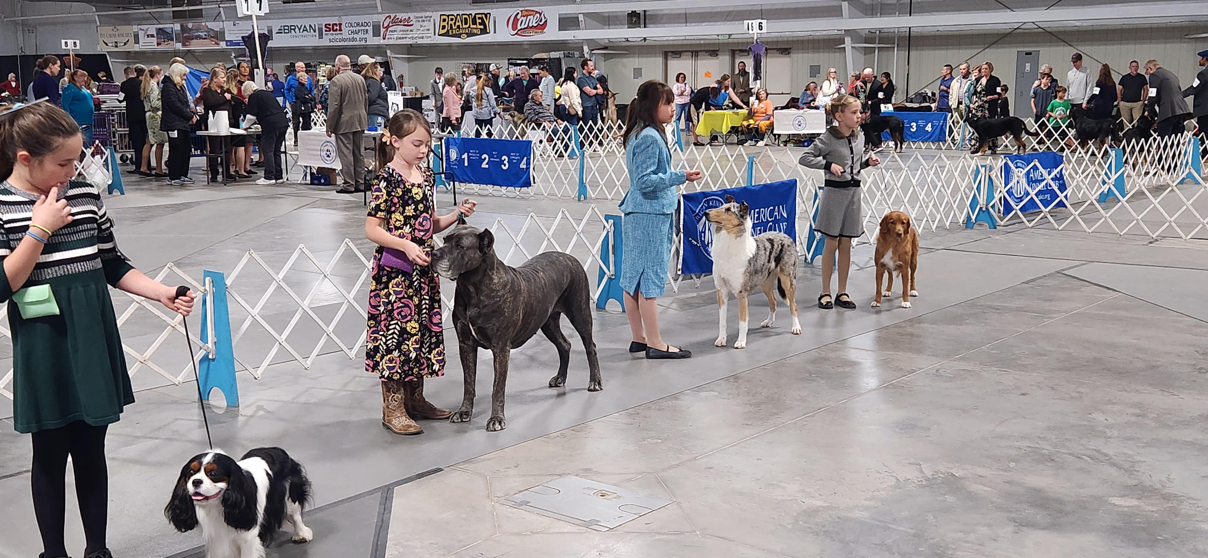 2025 Annual Show