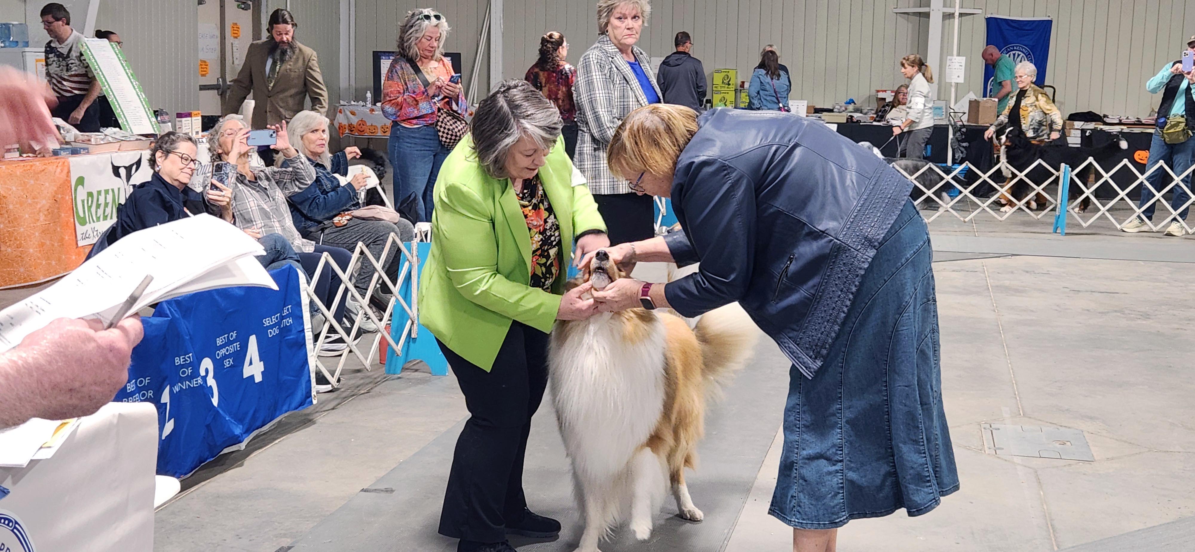 2025 Annual Show