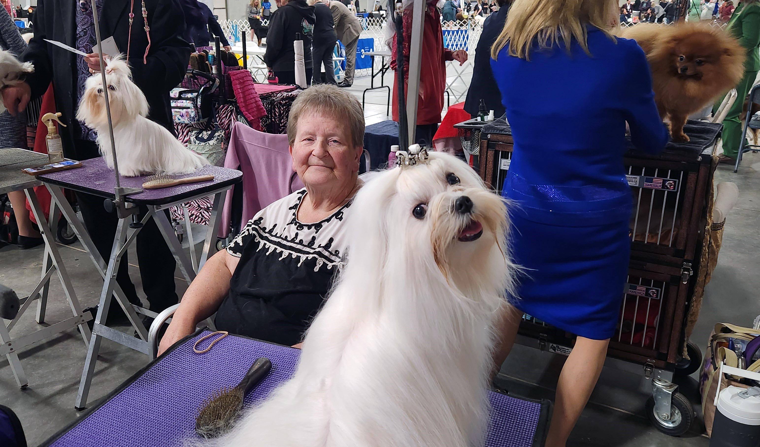 2025 Annual Show