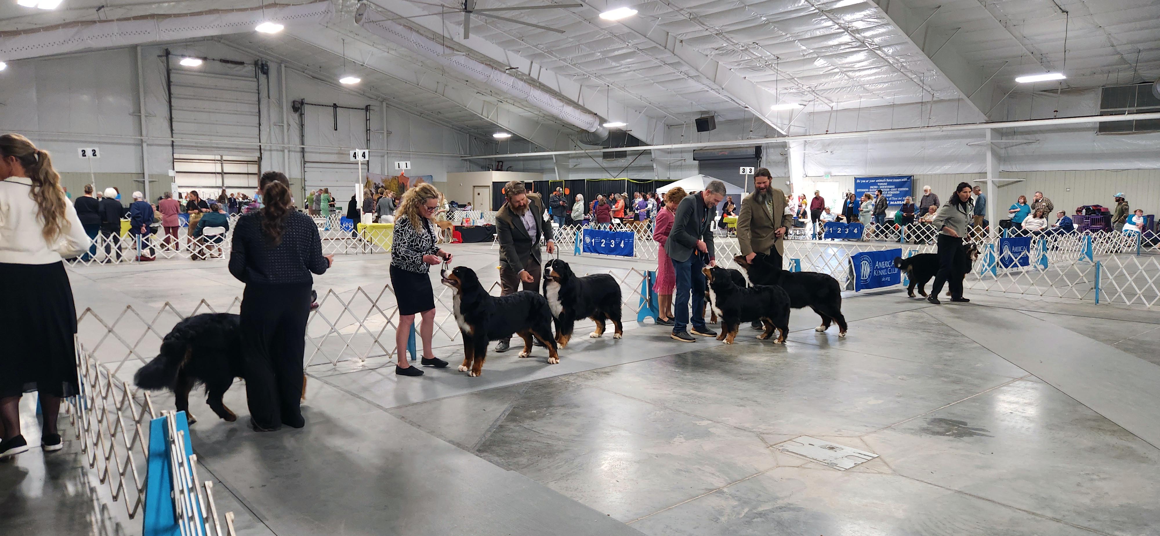 2025 Annual Show