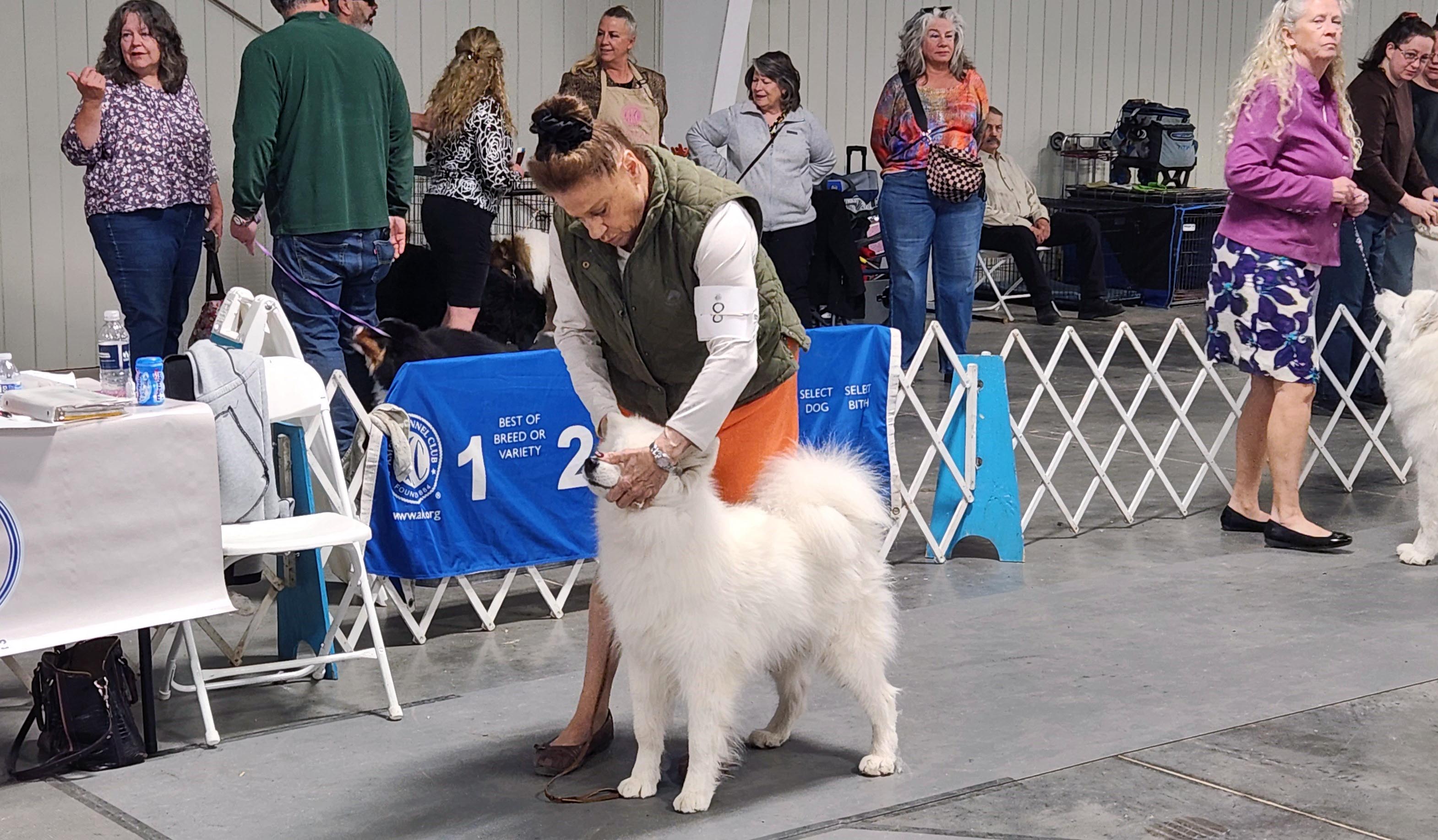 2025 Annual Show