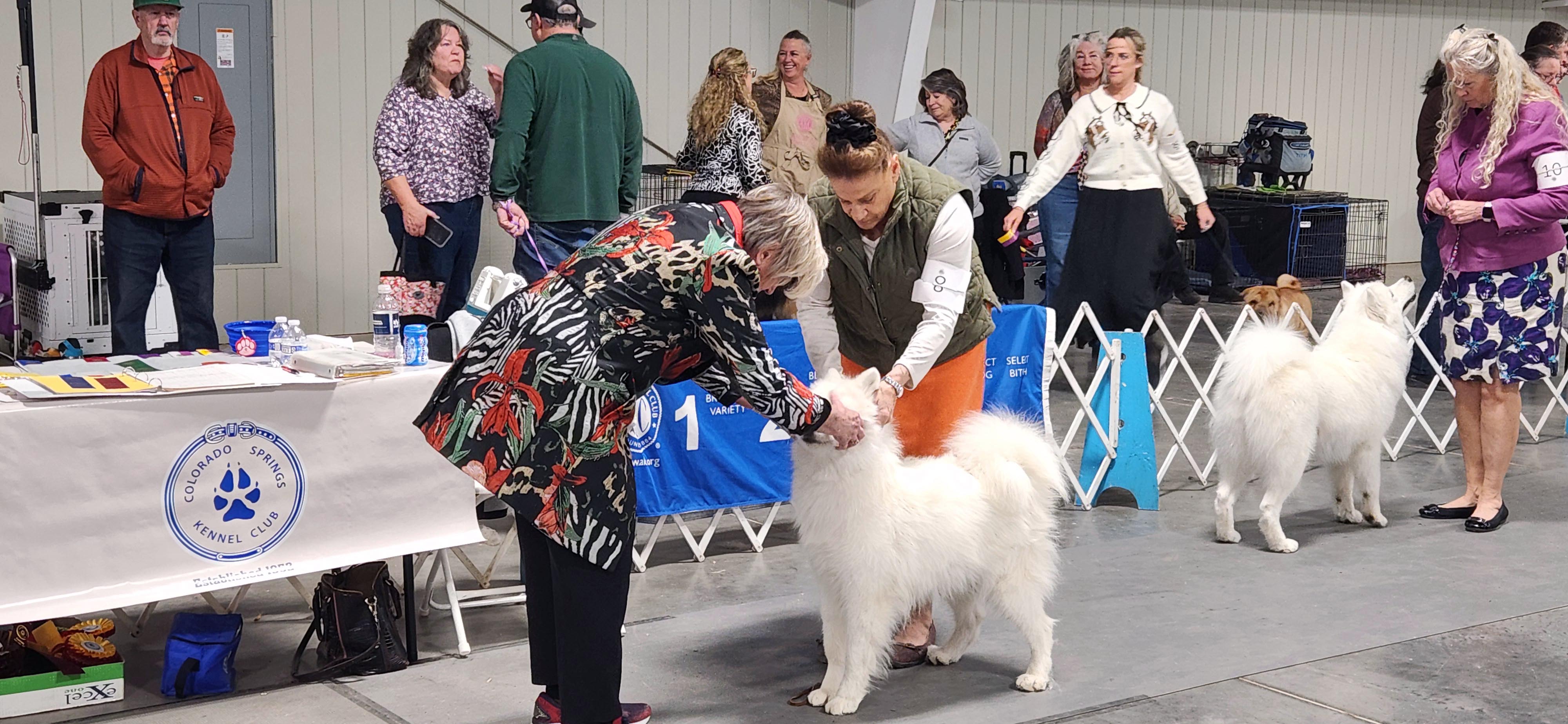 2025 Annual Show