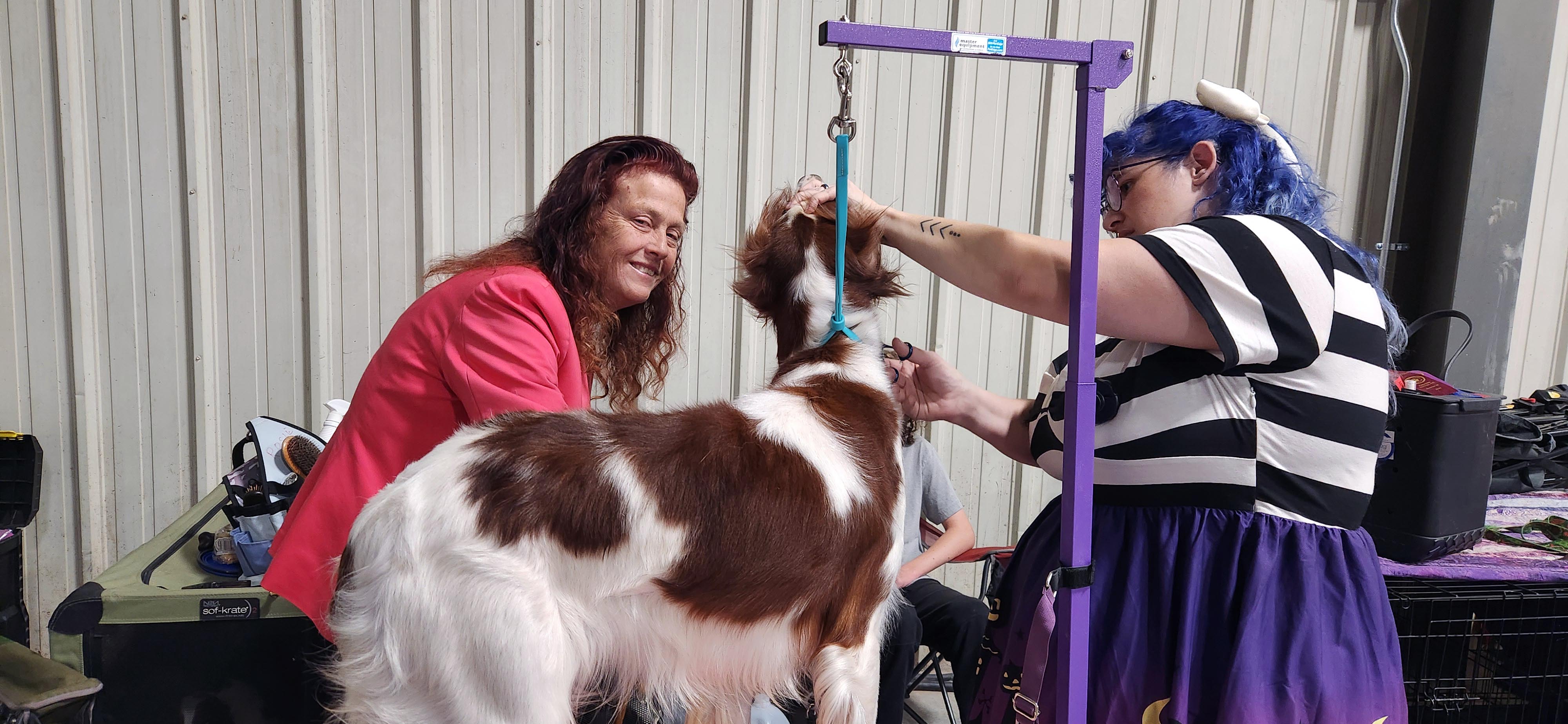 2025 Annual Show