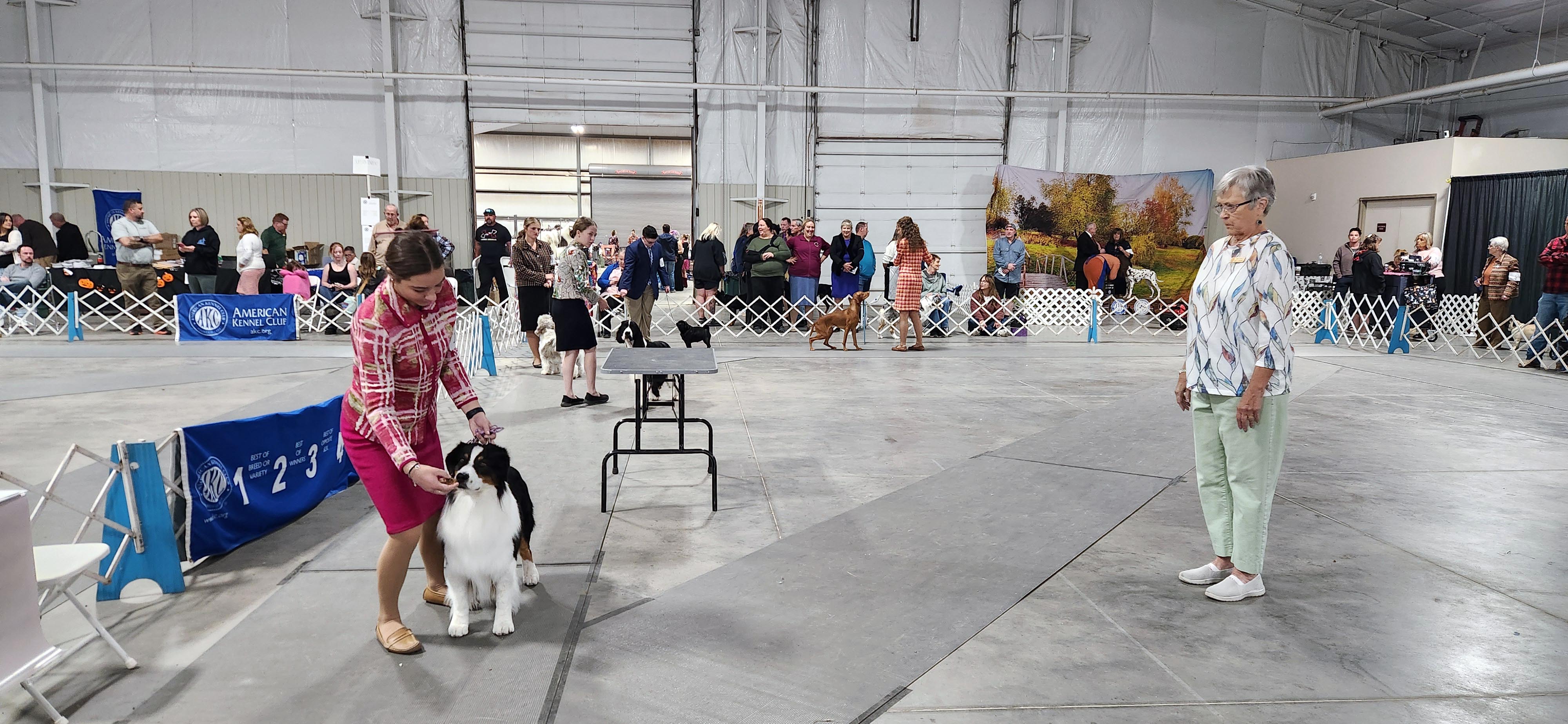 2025 Annual Show