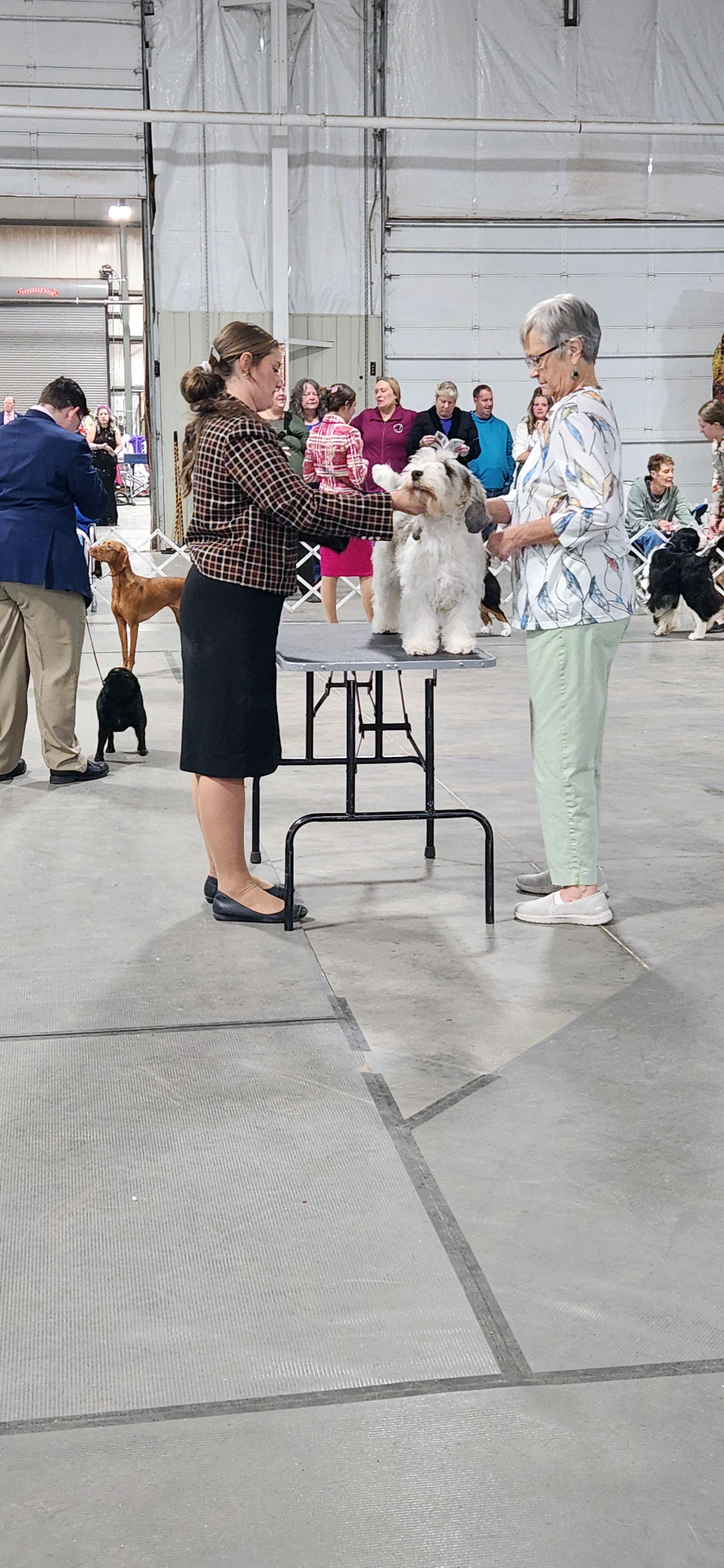 2025 Annual Show
