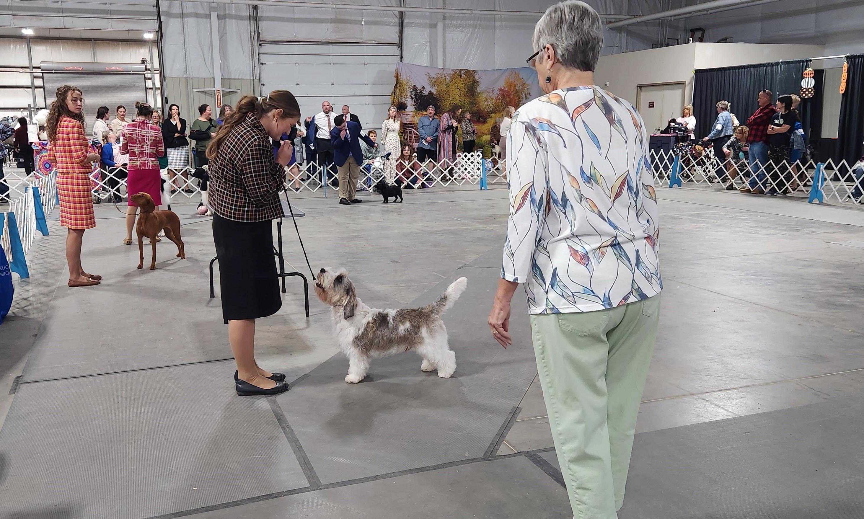 2025 Annual Show