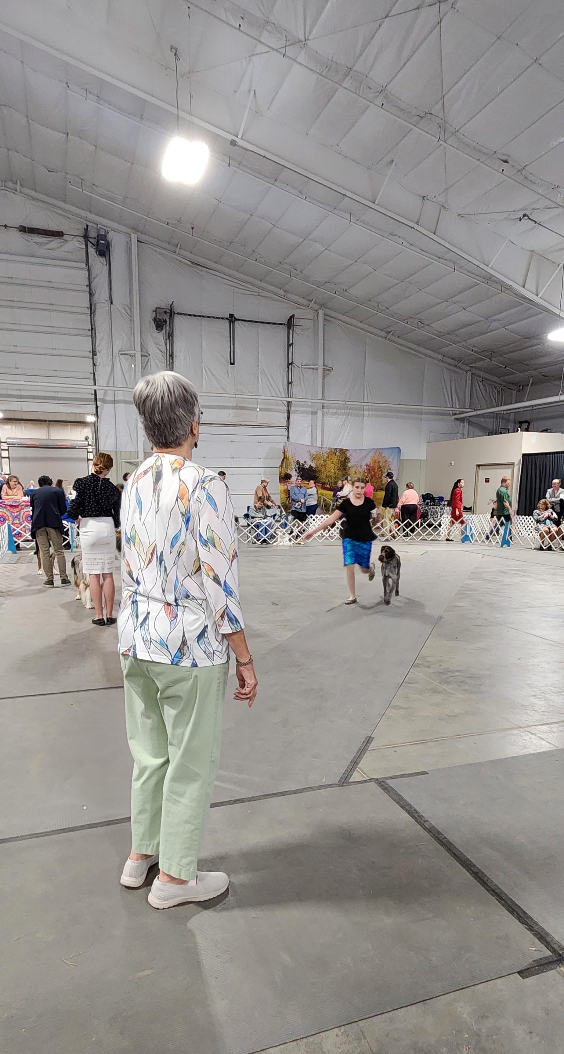 2025 Annual Show