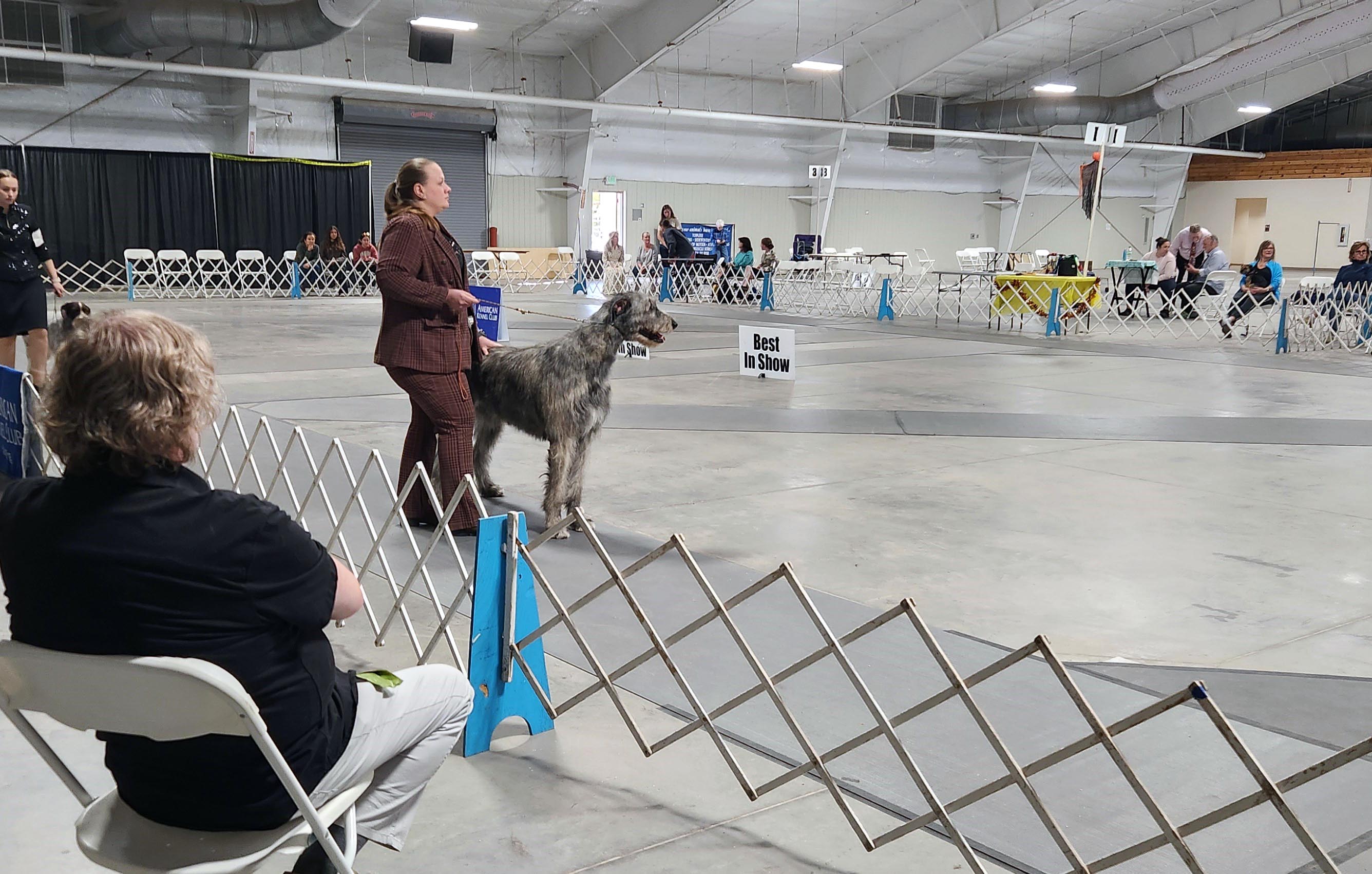 2025 Annual Show