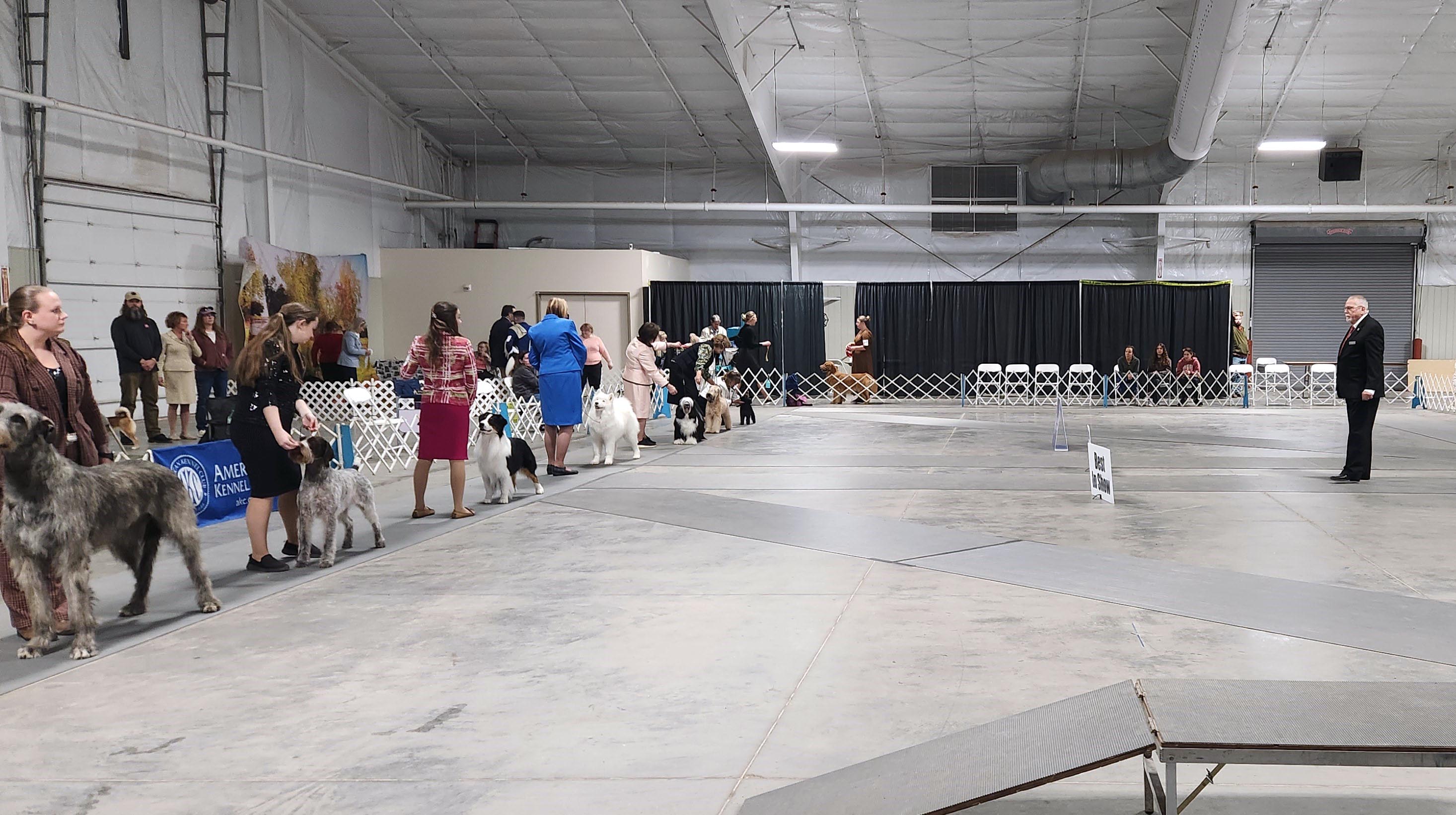 2025 Annual Show