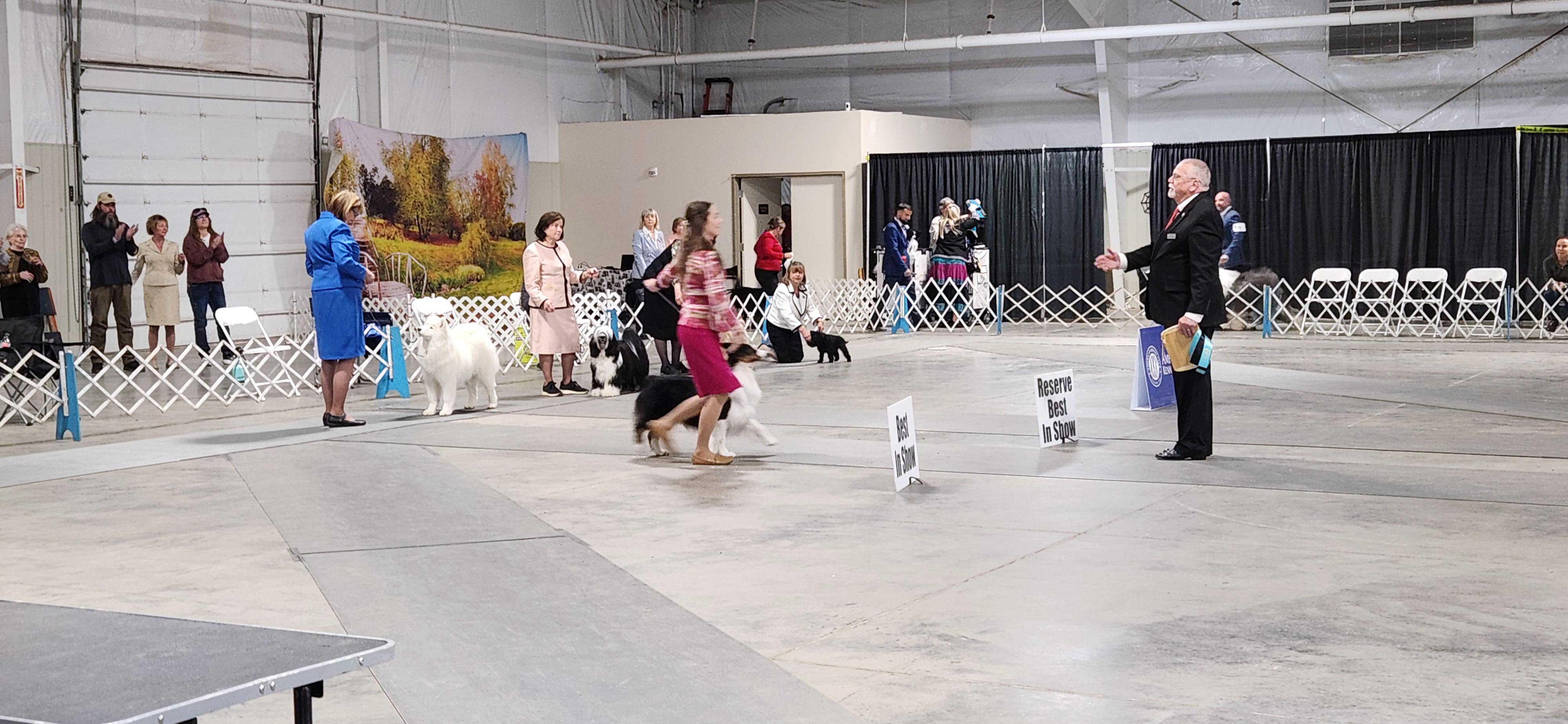 2025 Annual Show