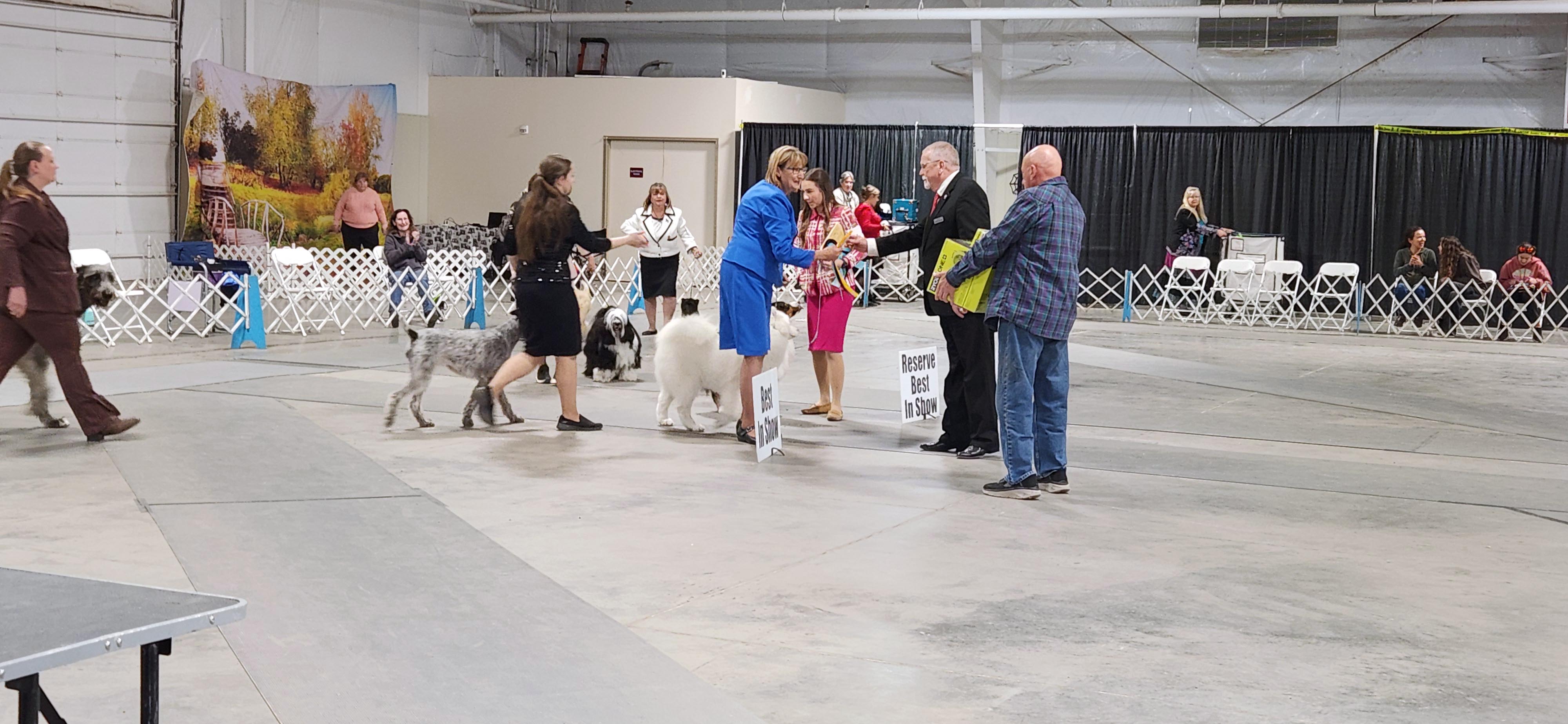 2025 Annual Show
