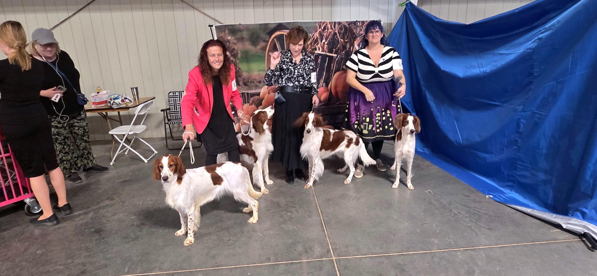 2025 Annual Show