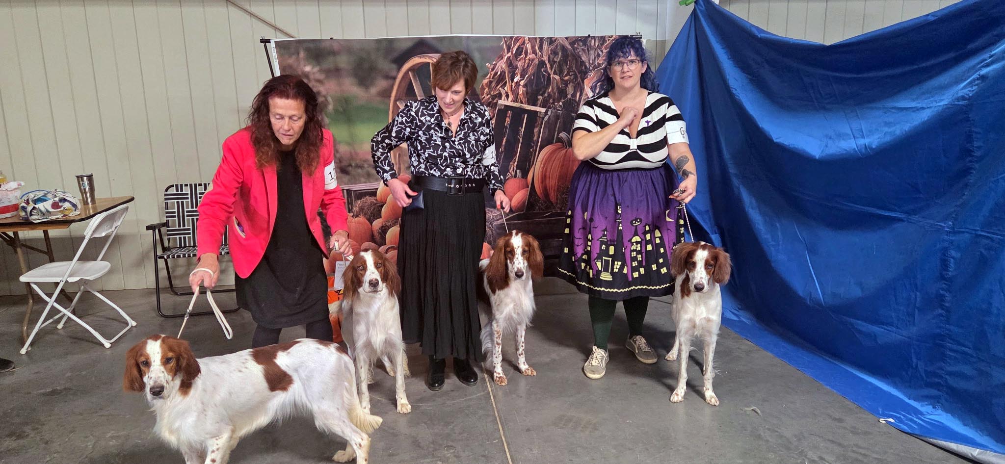 2025 Annual Show