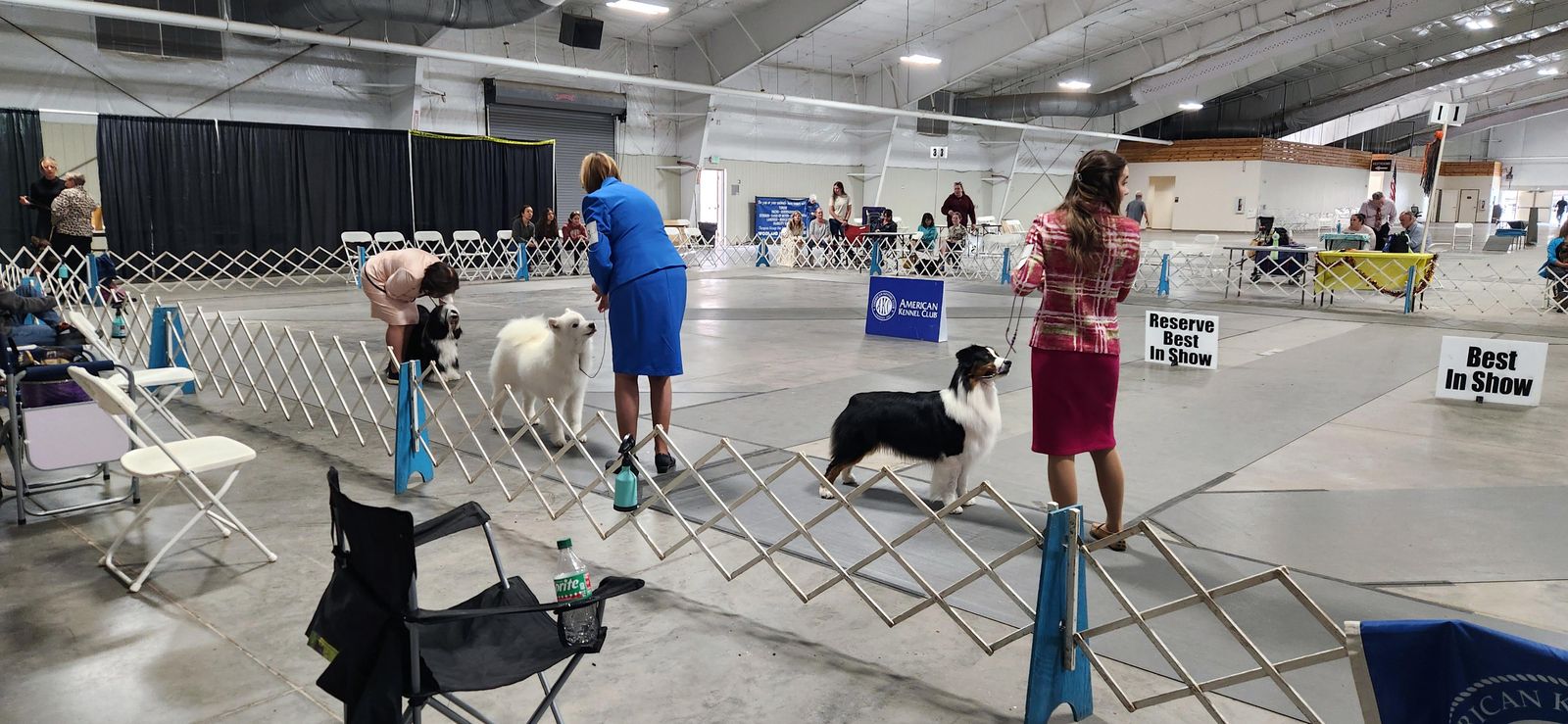 Dogs and handlers in the Best in Show ring at the CSKC all-breed show, beside the Best in Show and Reserve Best in Show signs