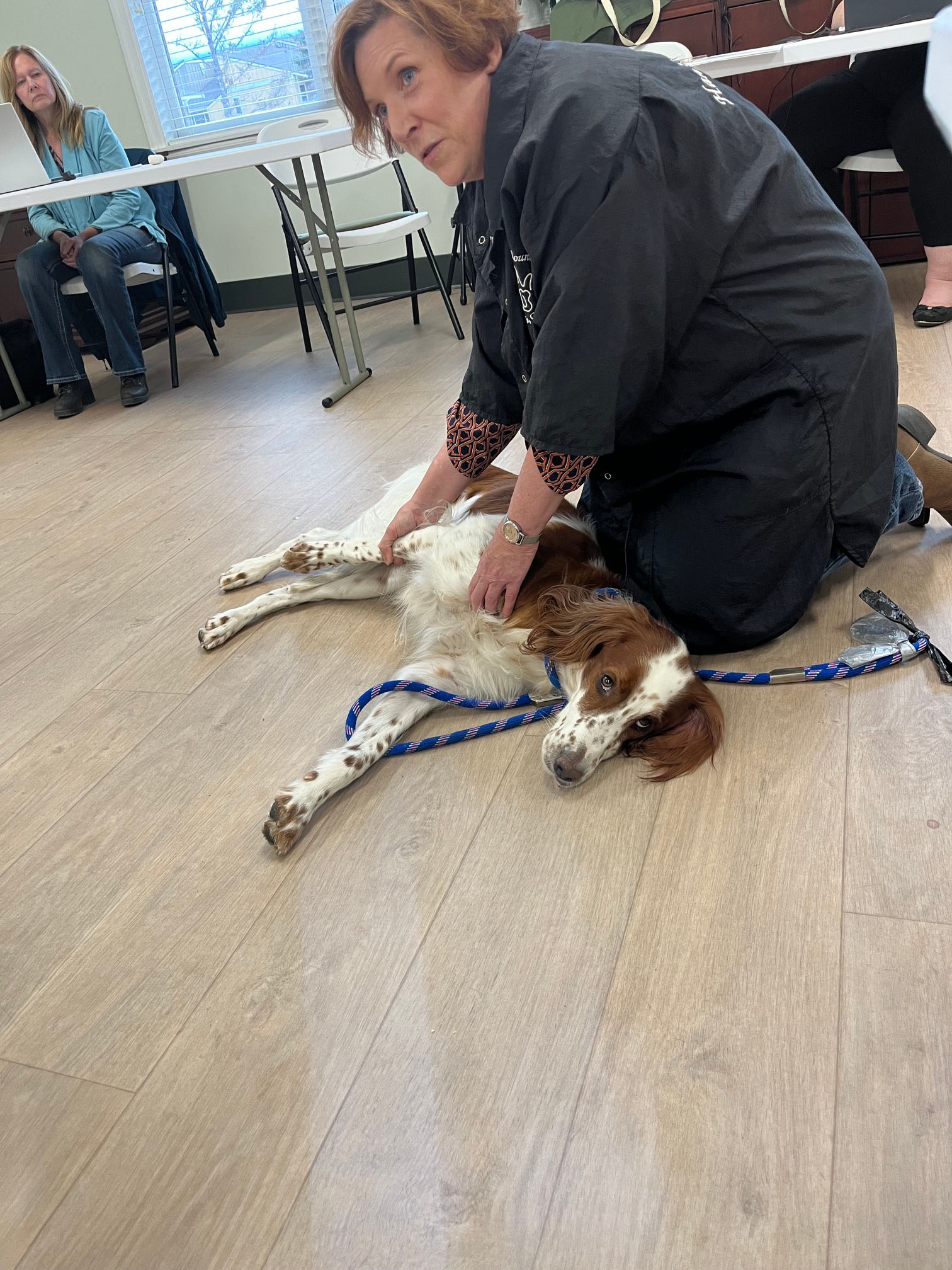 May Meeting Program: Stretching the Canine Athlete