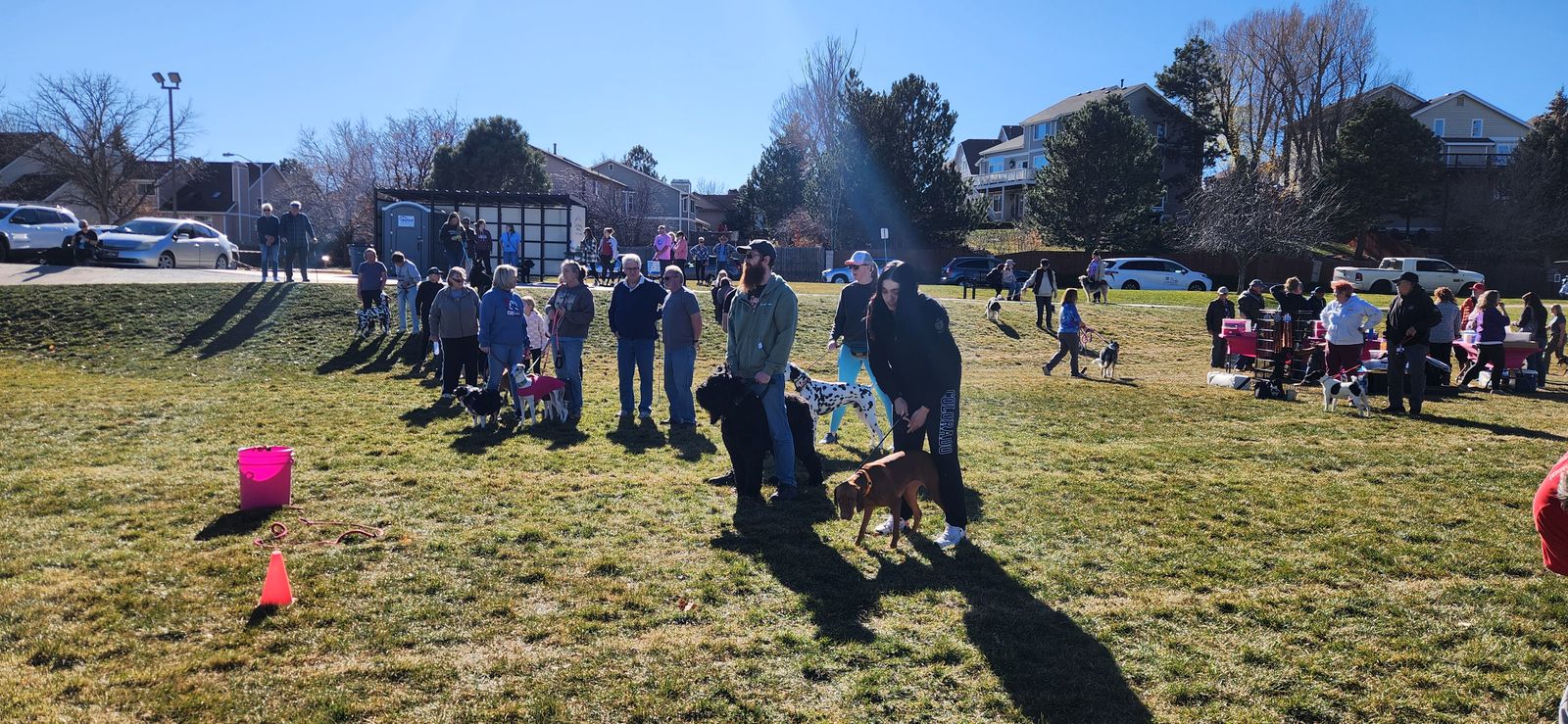 Dogs and their owners lined up on the field waiting for their turn at the CSKC Fast CAT